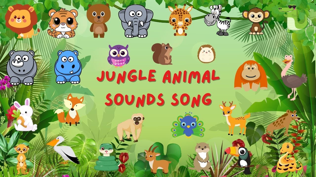 Jungle Animal Sounds Song N5T12 | Nursery Rhymes | Kids TV Education