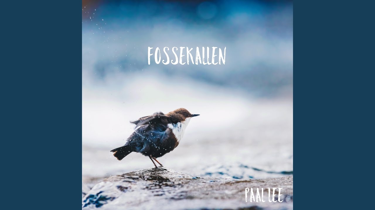 Fossekallen