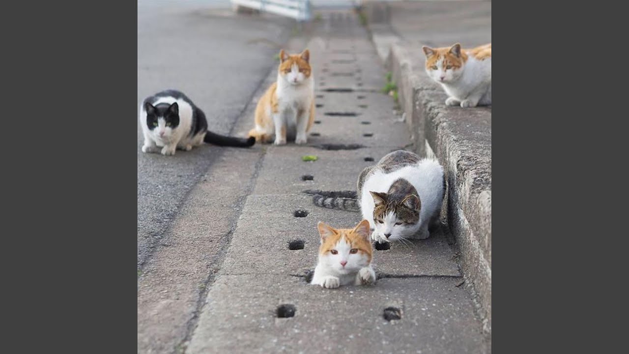 無くなる