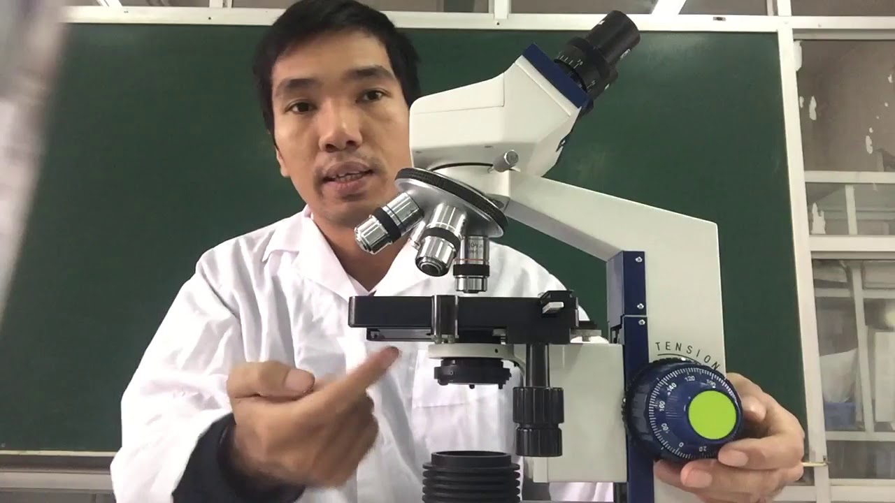 hướng dẫn cách sử dụng kính hiển vi soi tiêu bản cho đẹp nhất