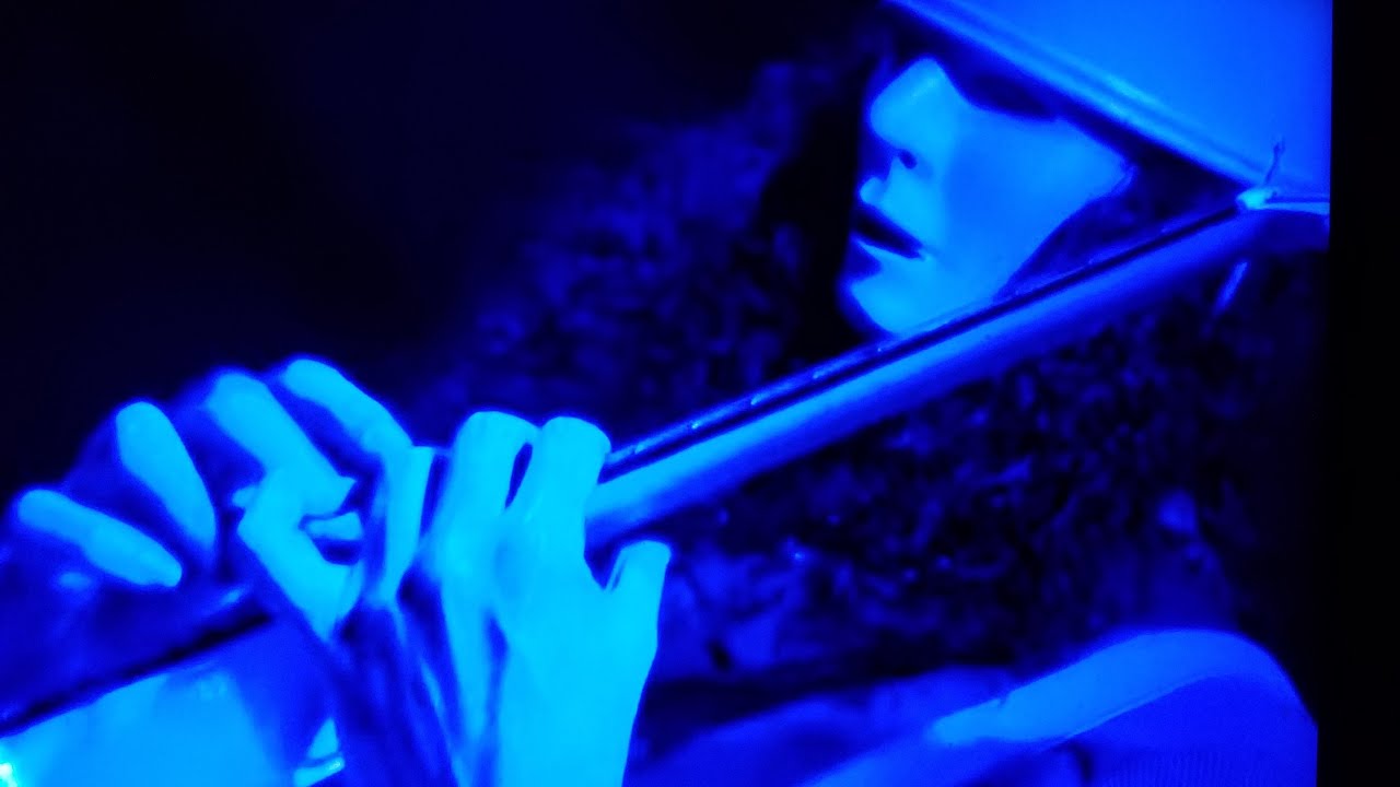 BUCKETHEAD - Want Some Slaw? (Live) Bella Tempo Festival - Harmony Park - Geneva, MN 27May2011
