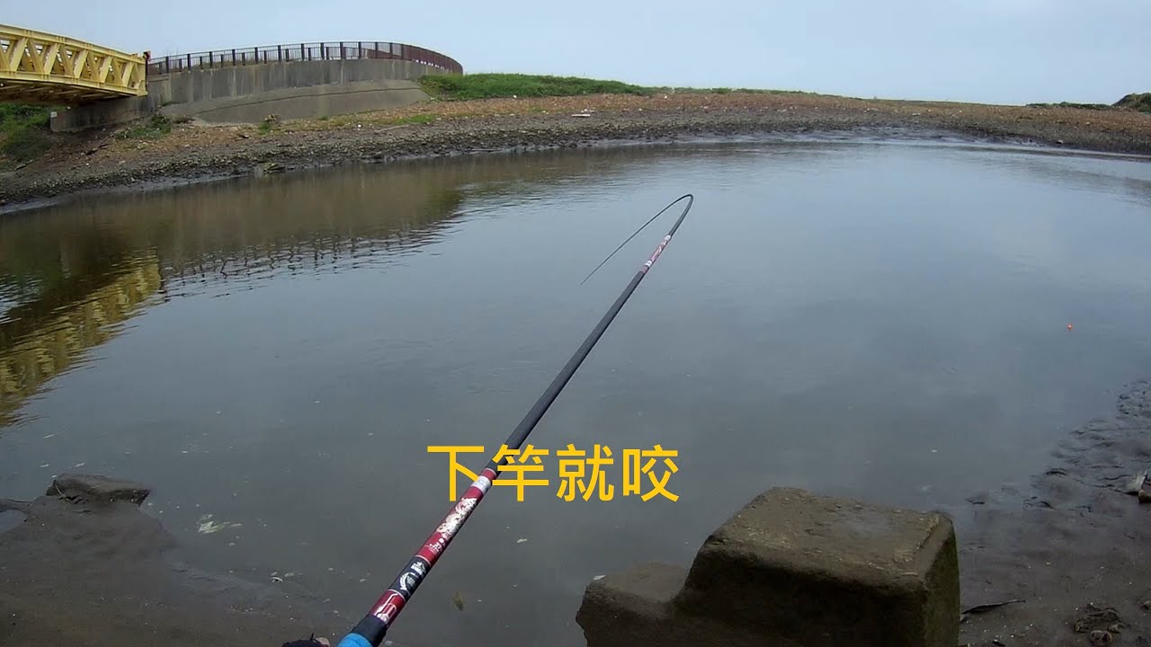 好釣點 新手拉爽爽 桃園 後厝港[嘟嘟釣魚狂#132]