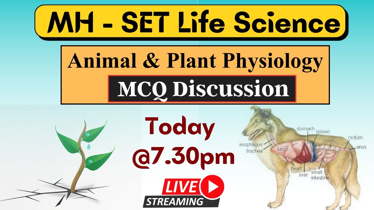 IMP MCQ Session | MH-SET - Life Sciences | Animal & Plant Physiology  | By - Madhurima Madam