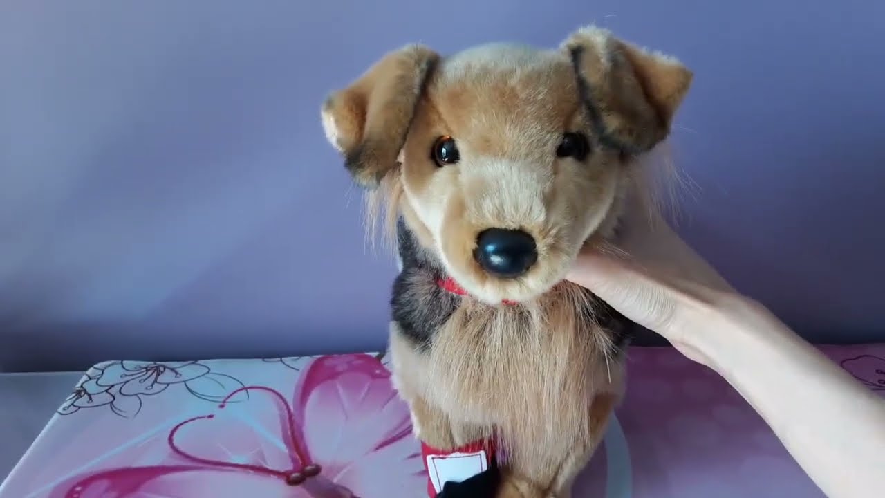 Unboxing Bingley the Rescue Pup Plush Dog by Douglas Cuddle Toys 🐶❤