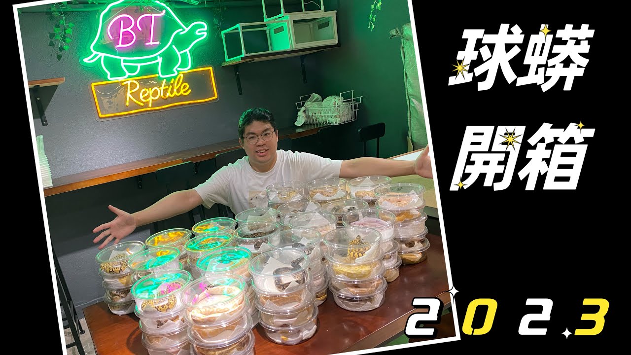 2023球蟒開箱😆😆