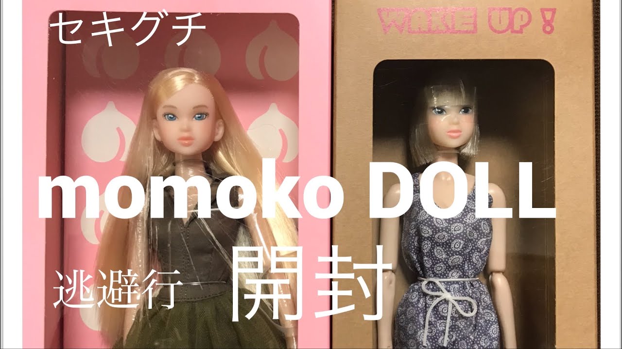 momoko DOLL 開封動画　初めてのモモコドール