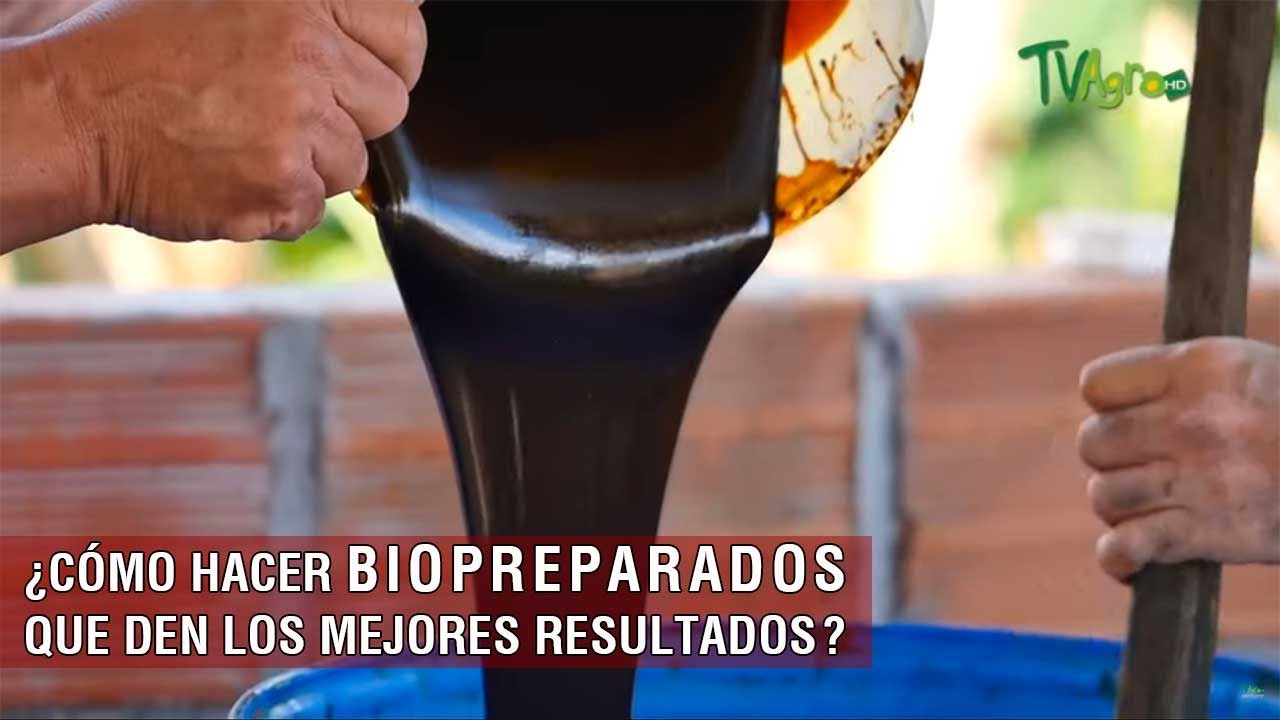 Cómo hacer biopreparados que den los mejores resultados - TvAgro por Juan Gonzalo Angel Restrepo