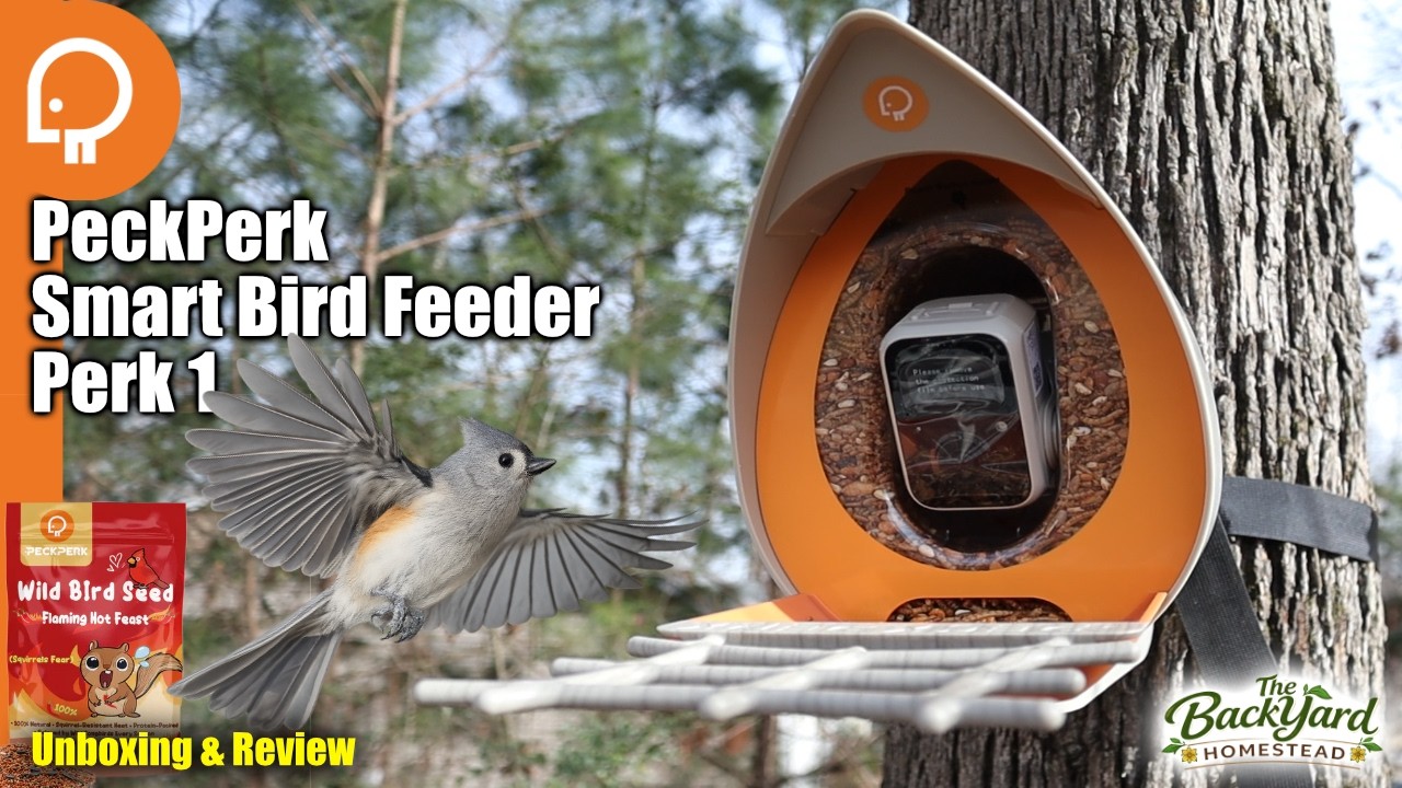 I Tried the PeckPerk Smart Bird Feeder… Here’s My Thoughts