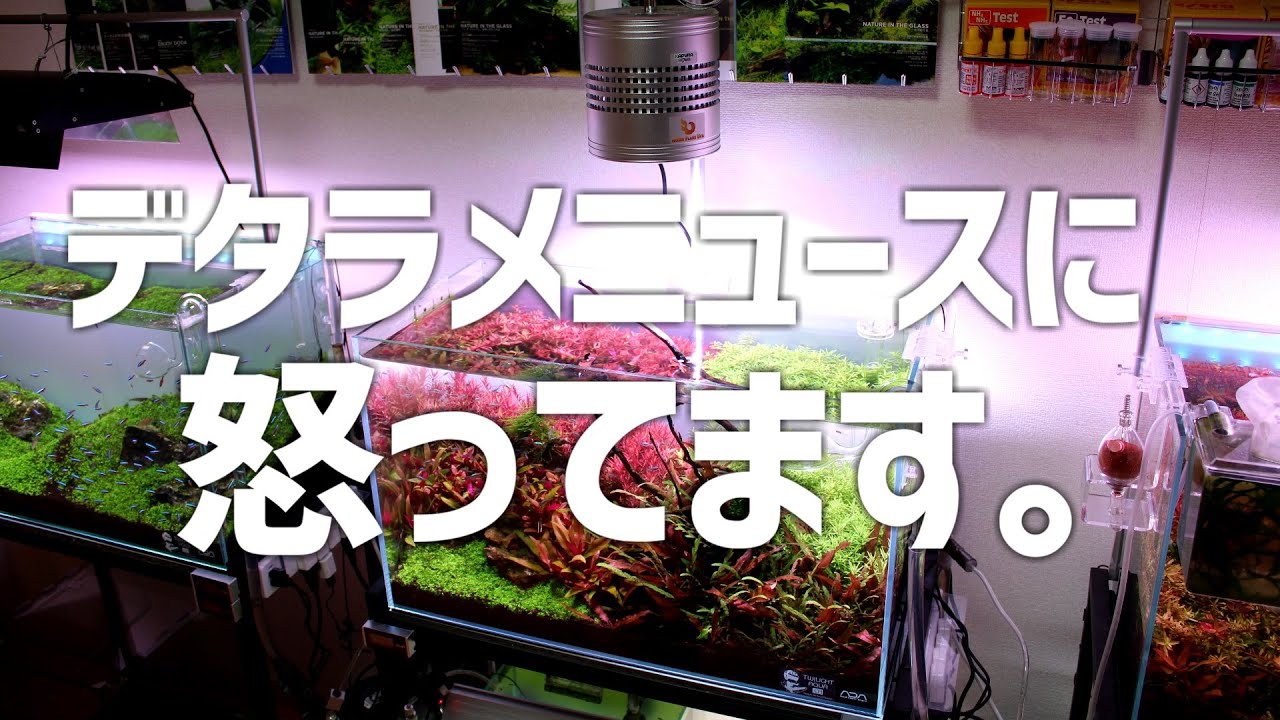 酷すぎる。超適当で悪影響なニュースに物申す。＃467【アクアリウム】