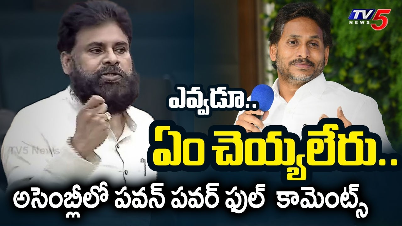 Deputy CM Pawan Kalyan Powerful Comments on YS Jagan And YSRCP Party in AP Assembly | TV5 News