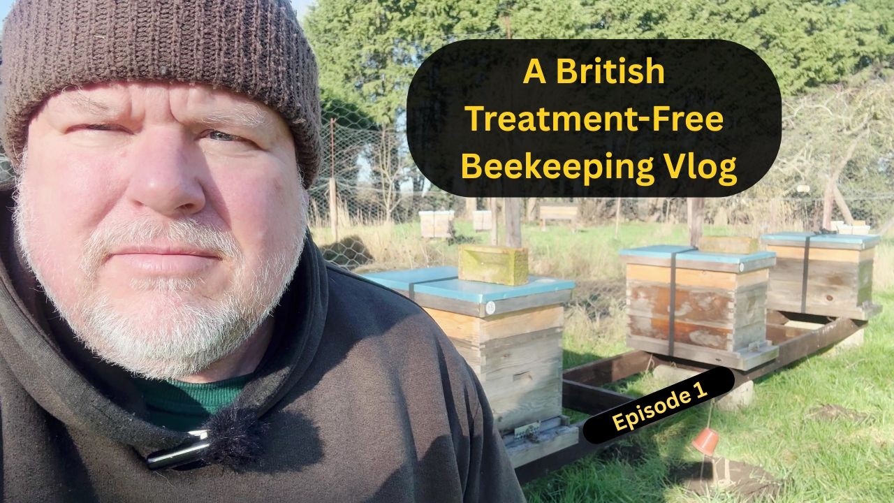 Episode1 Treatment Free British Bee keeping. How they over wintered and a look at hive configuration