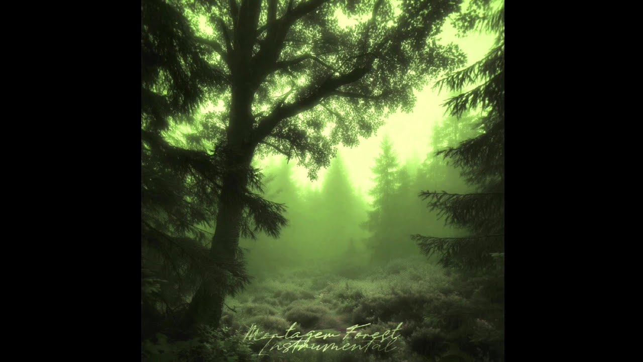 Tsk.4, EMERA emzzz-sira - MONTAGEM FOREST (Instrumental)