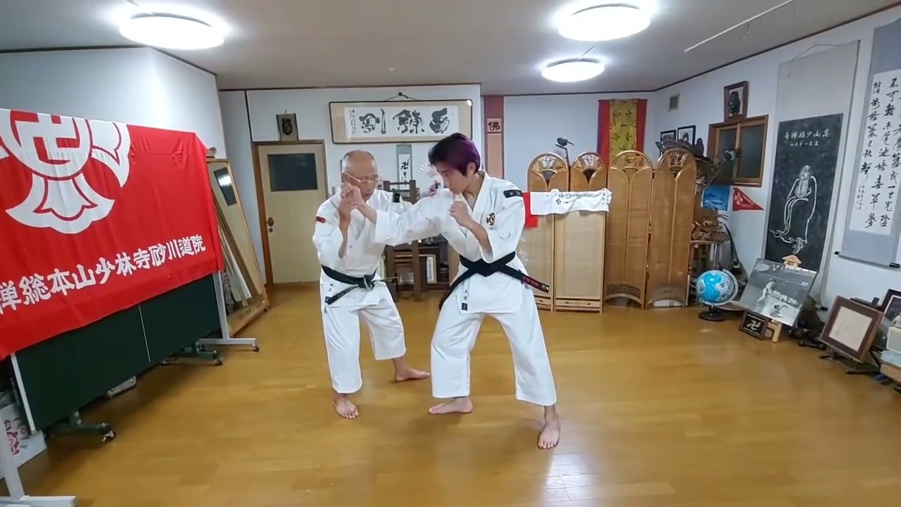 1.千鳥返刈足 Chidori Gaegaeshi Kariashi 少林寺拳法 Shorinji kempo