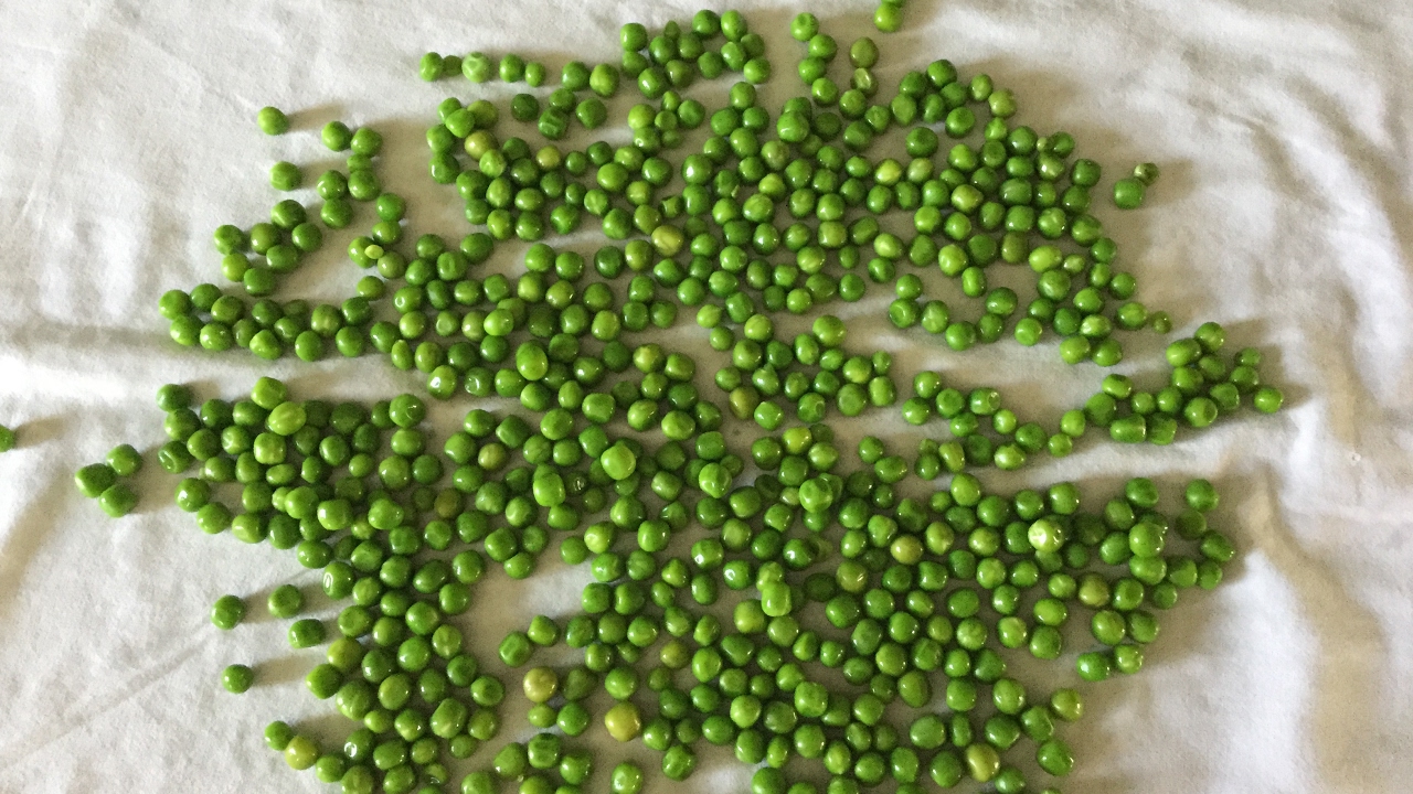 How to store fresh peas for 1 year / Freeze the Peas