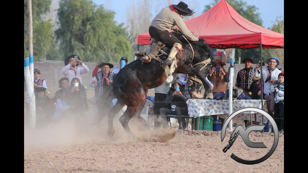 Aires de escarcha y coraje