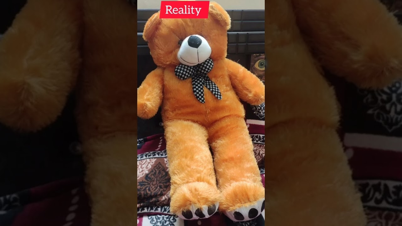 #teddy