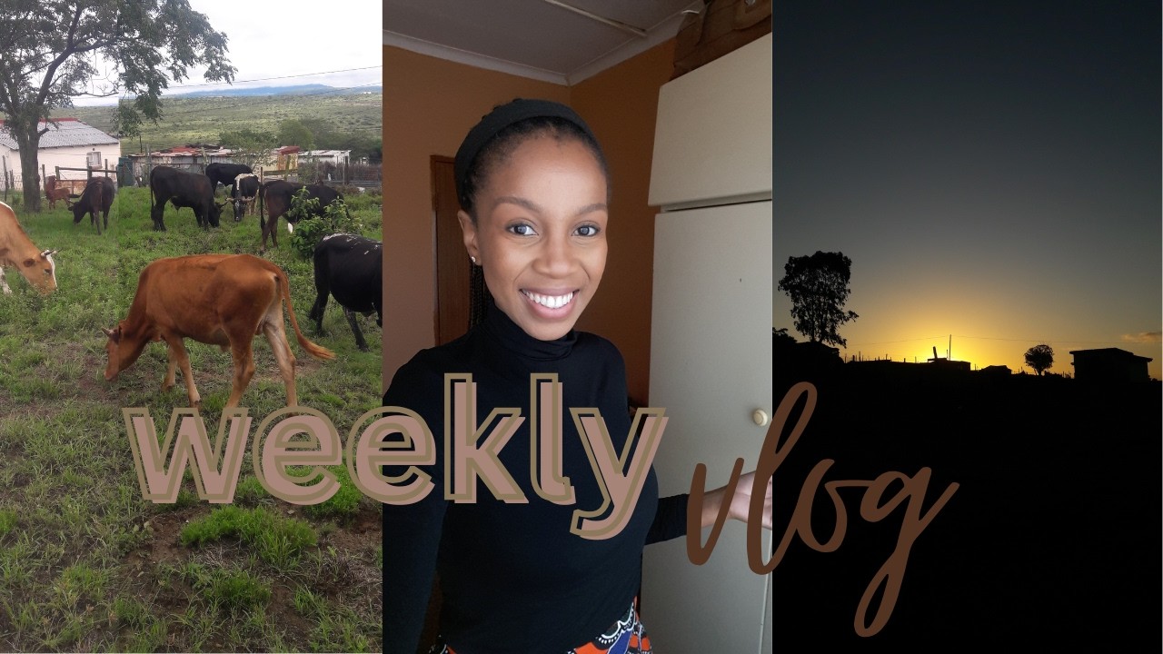 Weekly Vlog | I'm Back | Moved to a different province | Starting over again