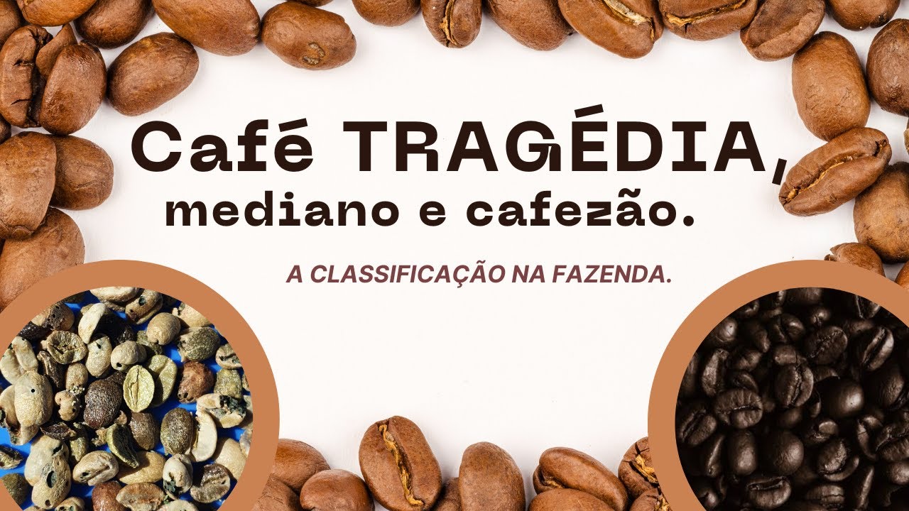 CAFÉ TRAGÉDIA, mediano e cafezões. A classificação.