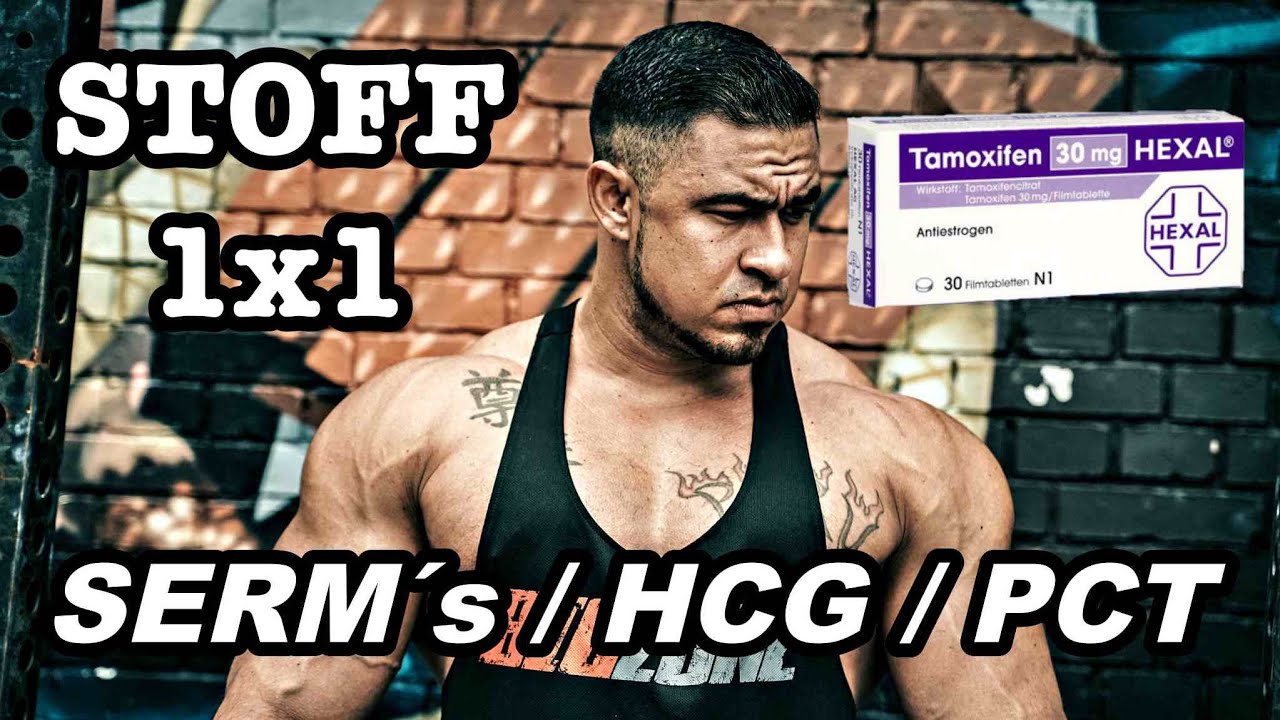 STOFF 1x1: SERM´s/HCG & PCT - Richtig absetzen / Funktion und Herkunft / PCT wirklich nötig?