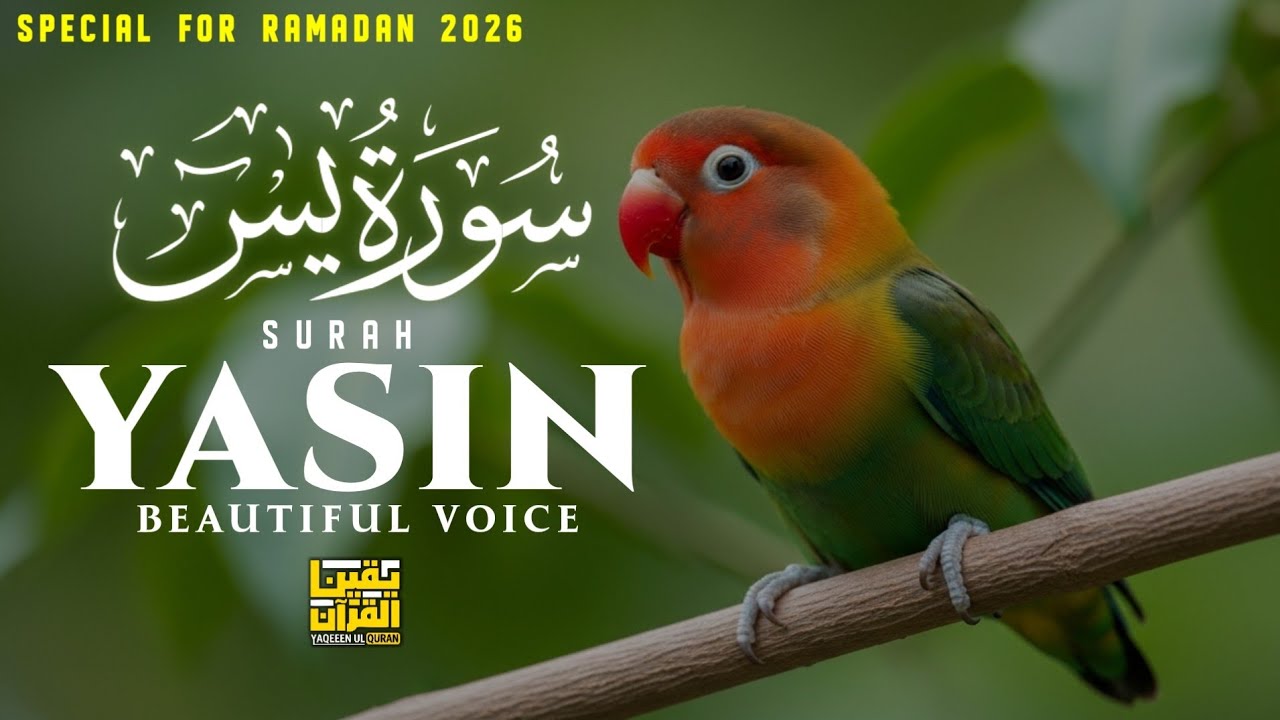 Ramadan Special Surah Yasin سورة يس | Heart Touching Quran Recitation | YAQEEN UL QURAN #Yasin