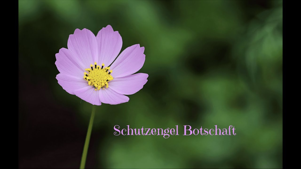 Schutzengel Botschaft ❤️