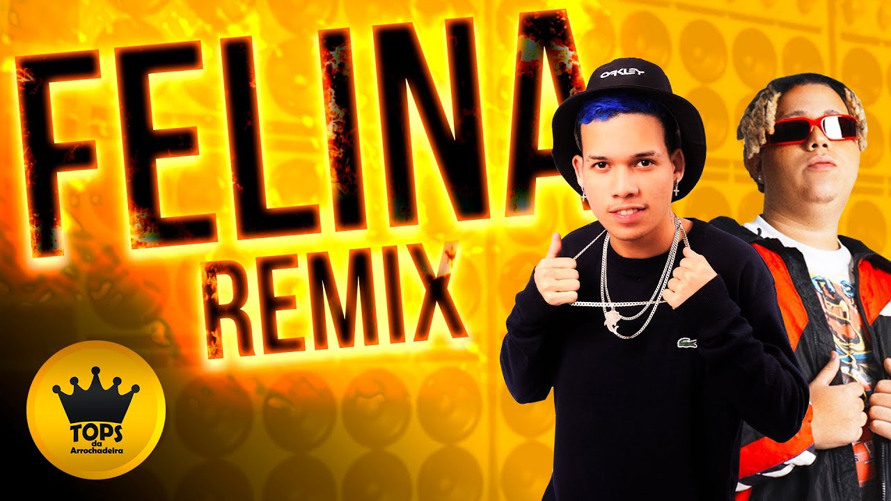 Felina (Arrochadeira Remix) - O Tubar&atilde;o e WIU (Tops da Arrochadeira)