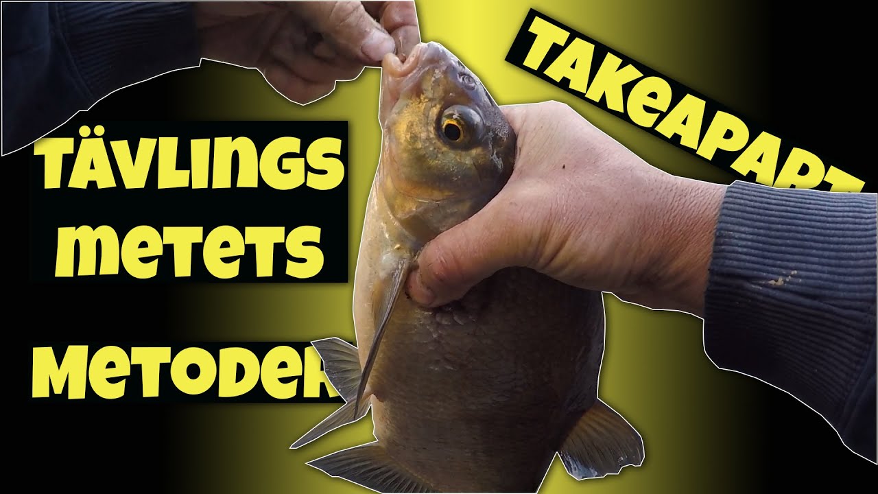Tävlingsmete - metoderna som är bra att behärska - Takeapart