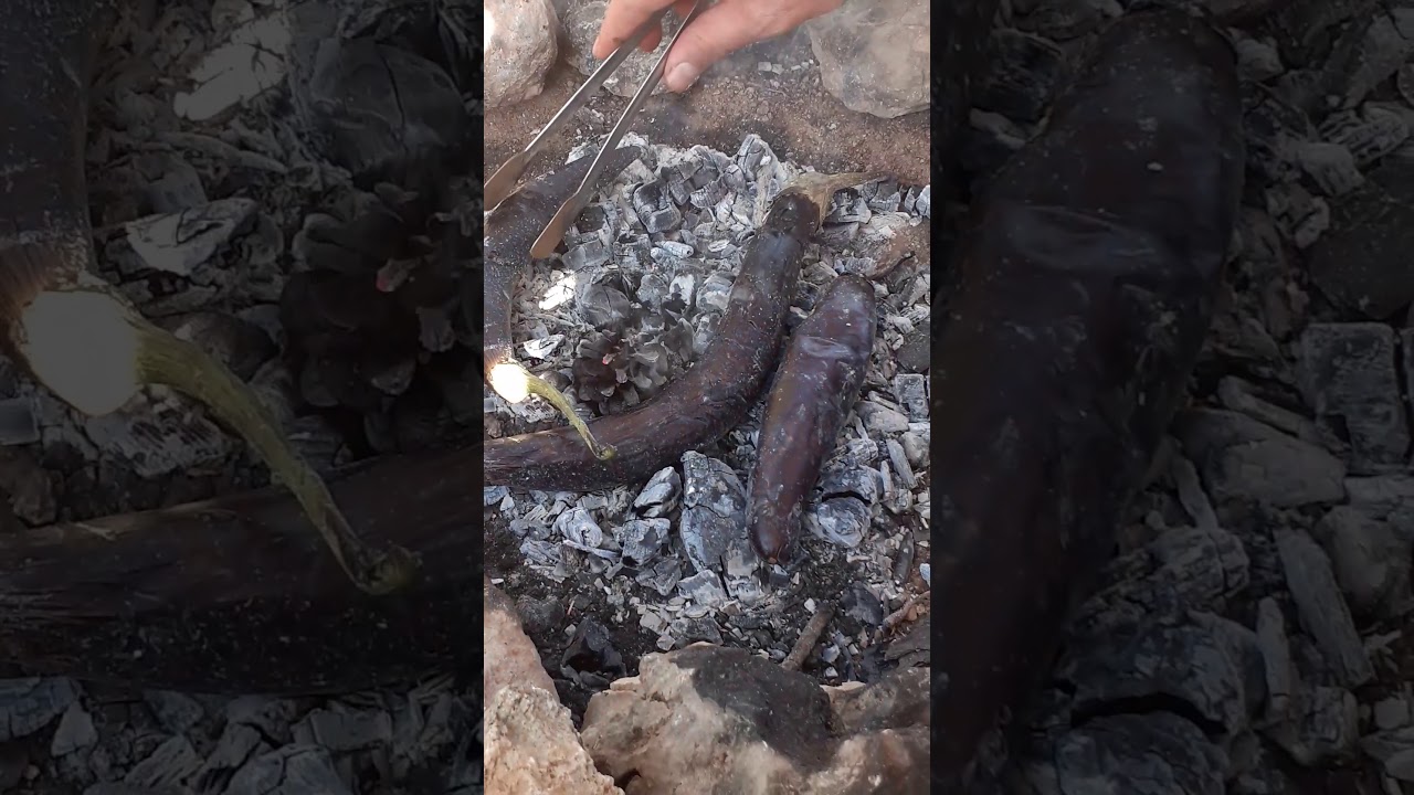 DOĞADA  PİKNİK VE TOPRAĞIN İÇİNDE TAVUK PİŞİRME PICNIC  IN NATURE AND COOKING CHICKEN IN THE SOIL