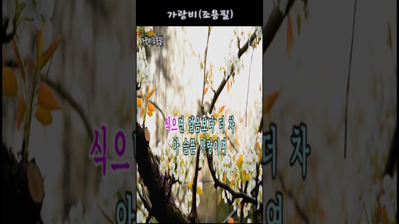 가랑비(조용필), #가요, #노래, #휴식, #힐링, #shorts, #잔잔한, #발라드, #조용한, #기쁨, #kpop