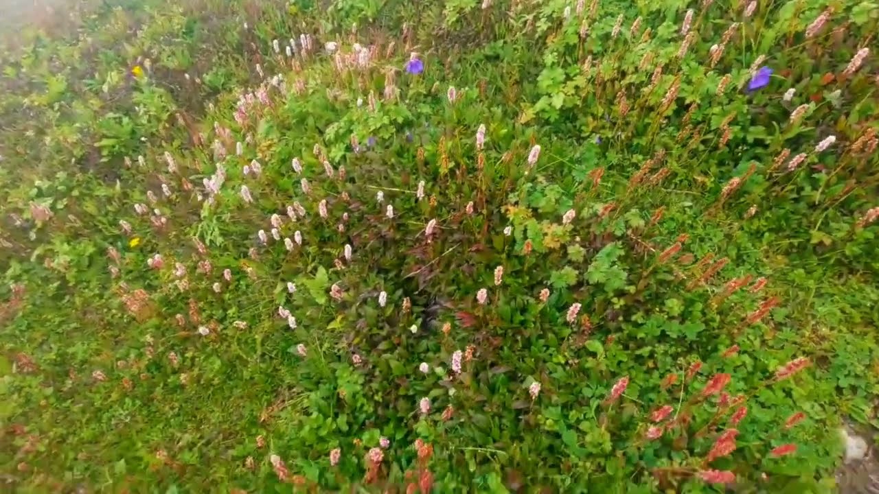 Gattian Lake RattiGali Sar Pass Pure Natural Beauty Solo Descend  Kingdom Kashmir Heaven DocRandhawa