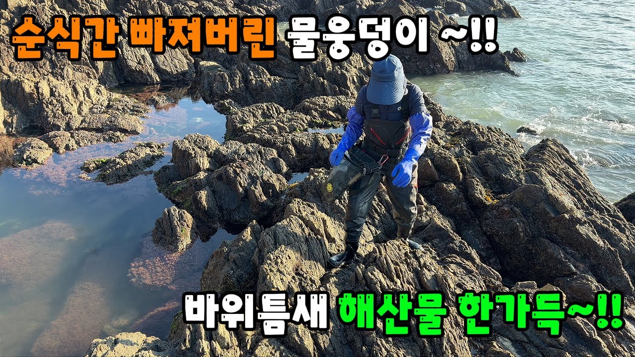 순식간 빠진 물웅덩이 바위틈새 해산물 한가득~!! 잡아서 먹방~