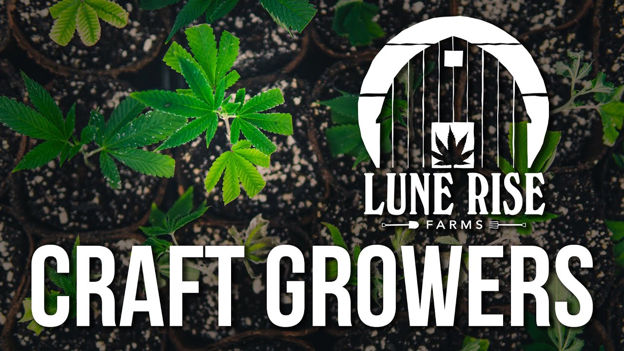 Lune Rise Farms: Ontario Craft Cannabis Growers
