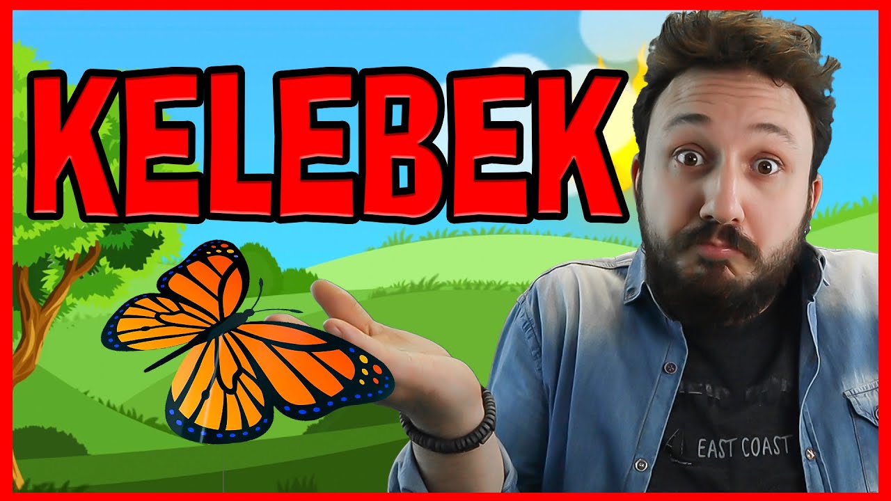 KELEBEK | Nereye Gitti Bu Kelebek? | Okul Öncesi ve İlkokul Müzikleri Ritim Çalışması | Burak ONURLU