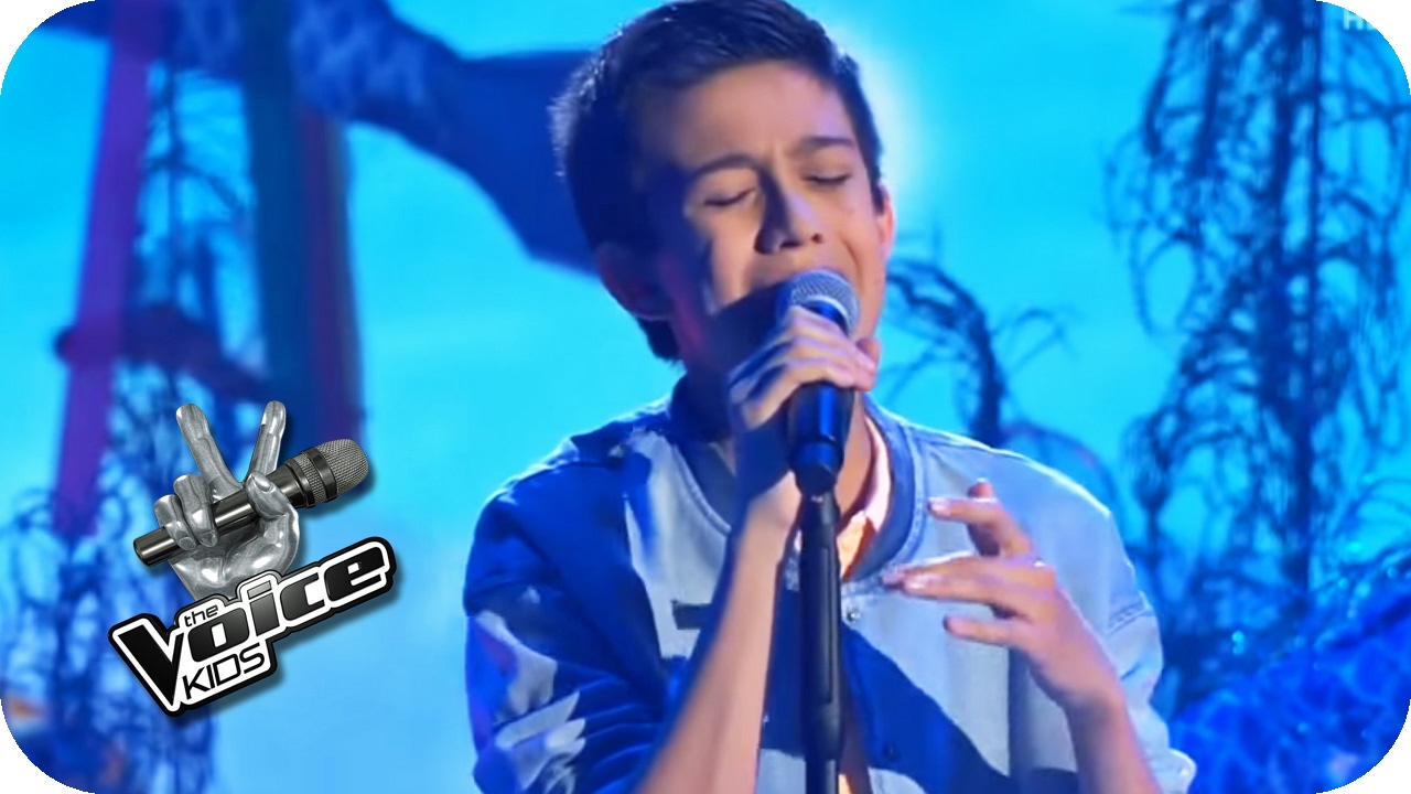 Alicia Keys - If Ain't Got You (Lukas) | Finale | The Voice Kids 2016 | SAT.1