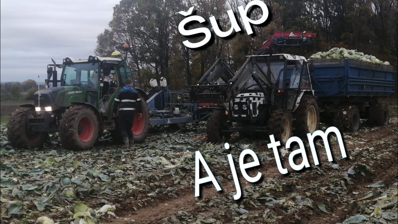 Šup a je tam😂. ZETOR❤️ na zelí