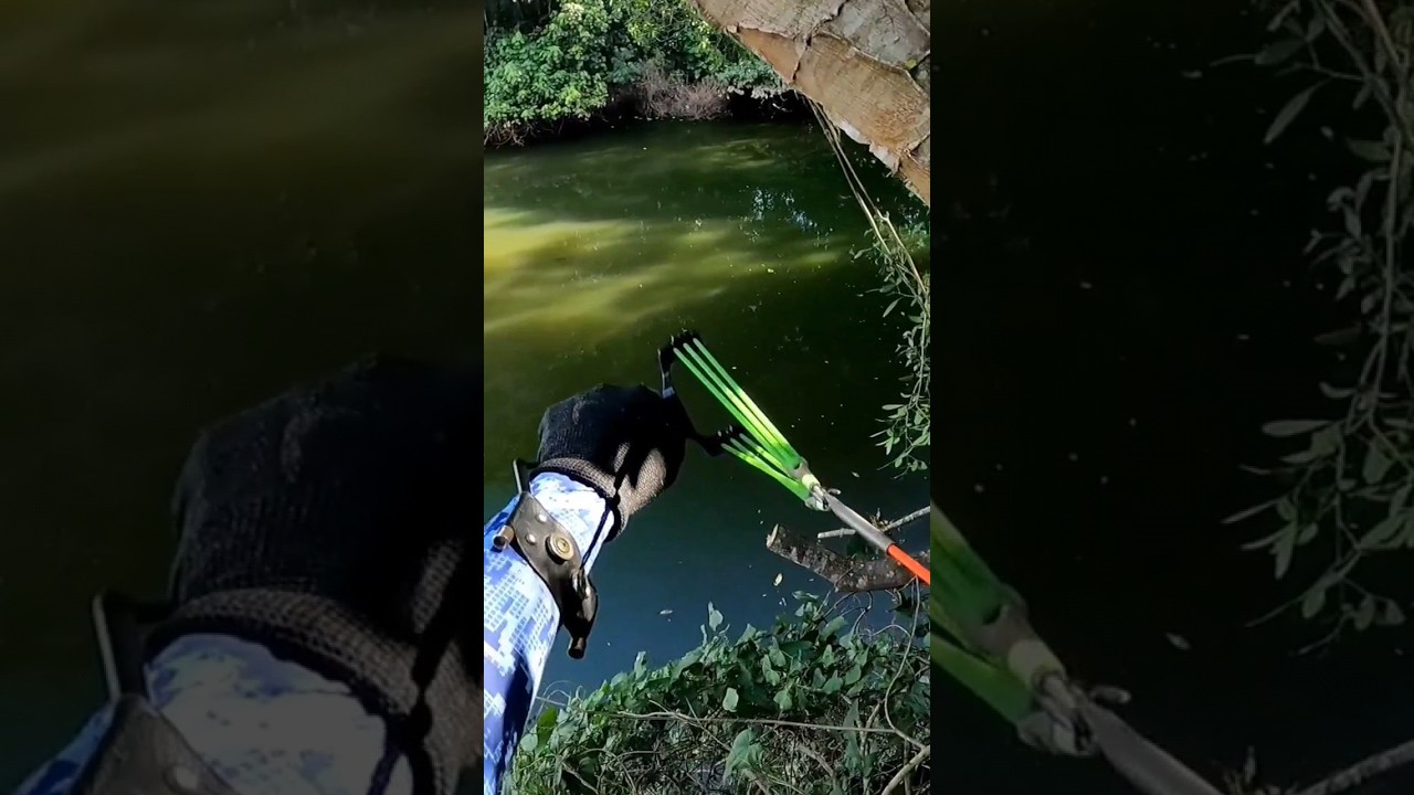 #🐟 na mira#pesca com Estilingue