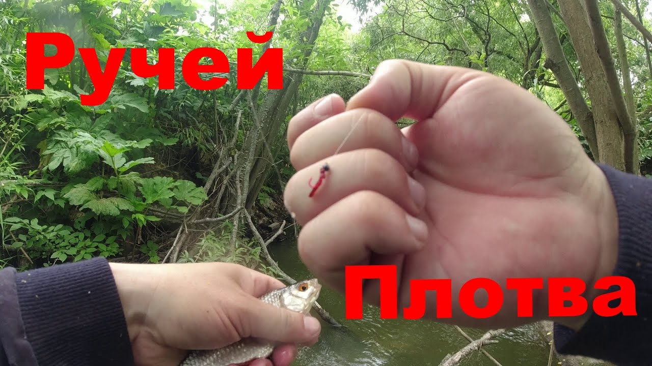 #356 #Мормышинг | Микро ручей | Плотва |
