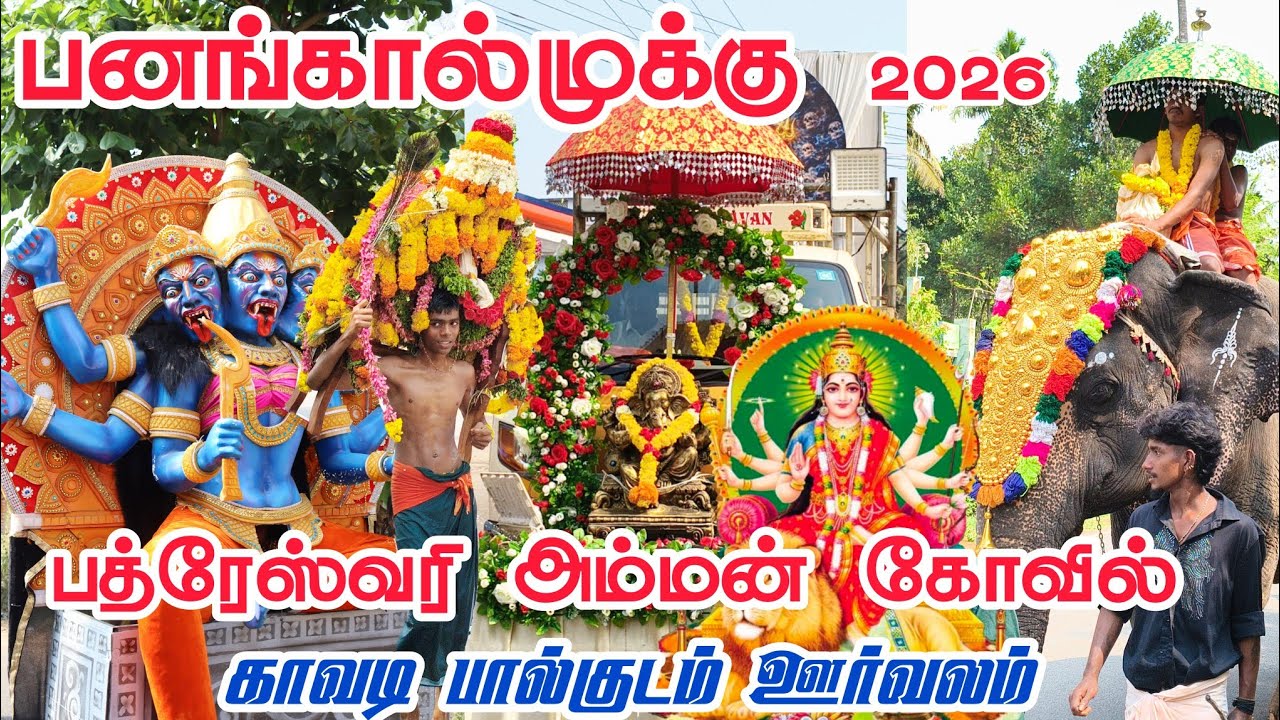 Panagkaalmukku Bhadreswari Amman Kovil பால்குடம் காவடி ஊர்வலம் | Panagkaalmukku Kavadi Oorvalam 2026