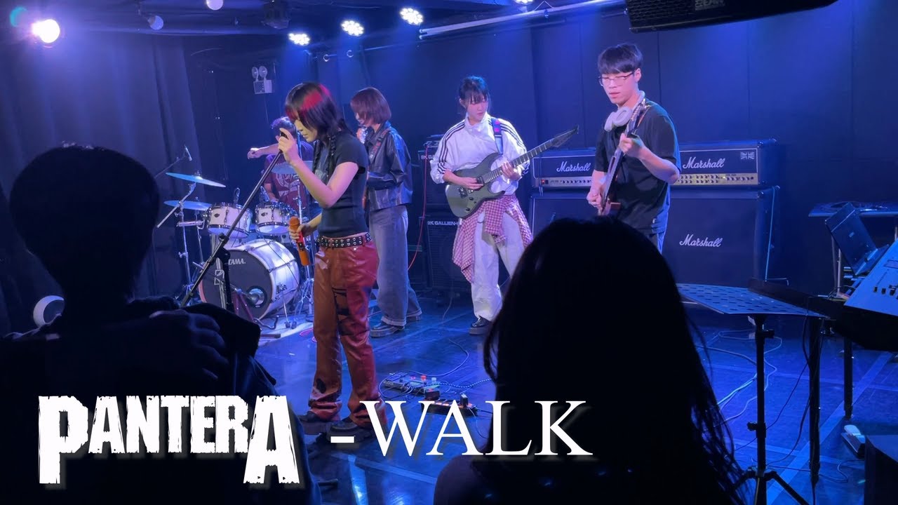 [2024.11.15] Pantera - Walk_Live (Cover by 야간택시) - iPhone