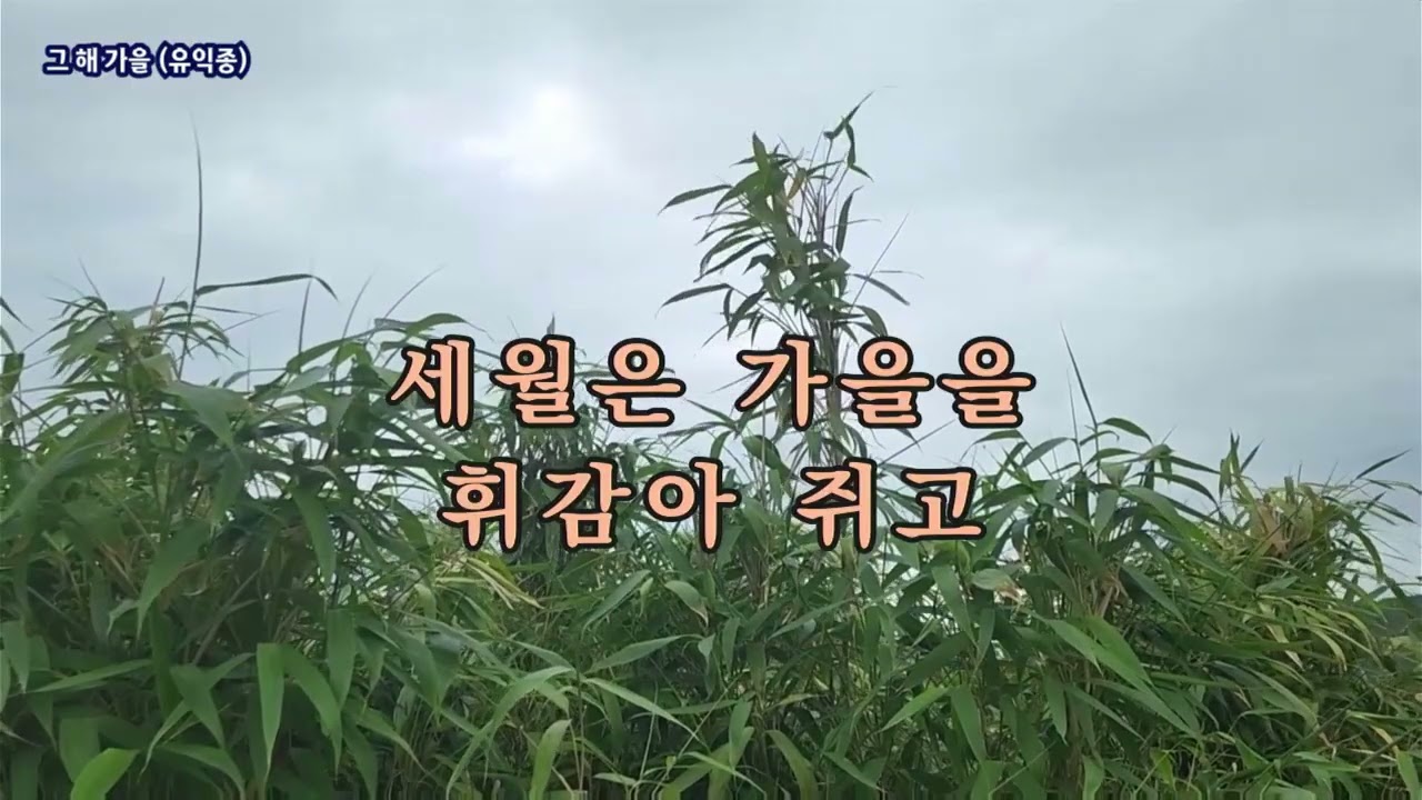 그 해 가을(유익종), #가요, #노래, #휴식, #힐링, #shorts, #잔잔한, #발라드, #조용한, #기쁨, #kpop