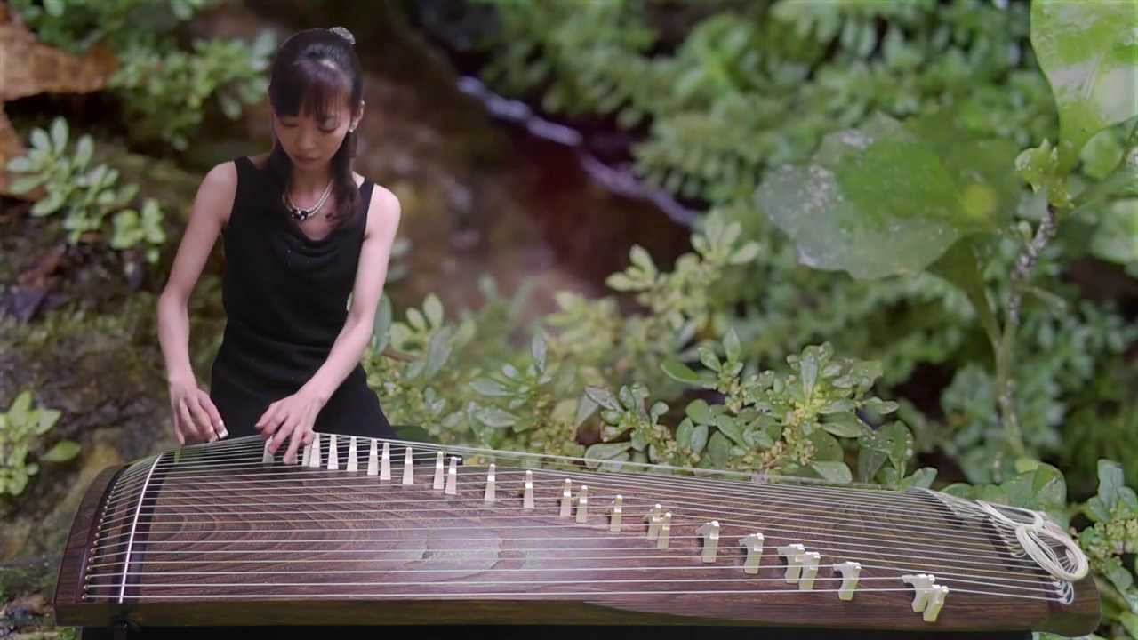 蛍 - 復興への応援メッセージ -　25絃箏（25string-koto）