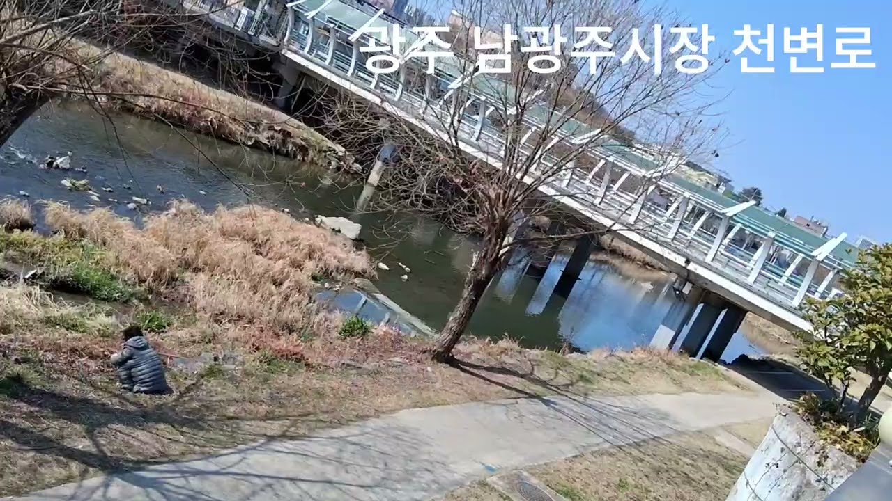 #남광주시장 광주 천변우로 날씨가🌤 ㅎㅎ기가똥이차게🤗좋으네요 #구독좋아요 #succulent 