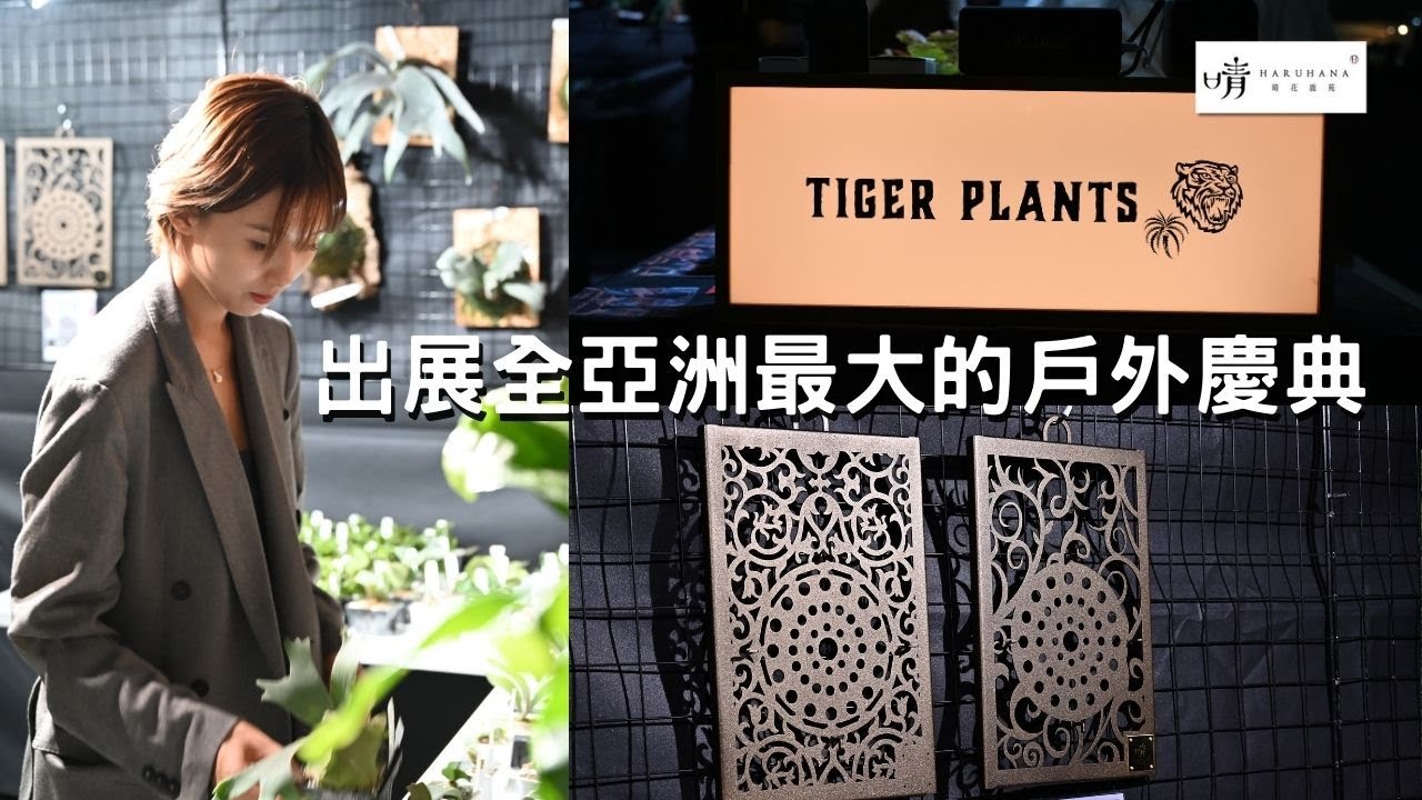 【晴花鹿苑-VLog】出展全亞洲最大的戶外慶典- FFIELDSTYLE JAPAN #鹿角蕨 #FFIELDSTYLE JAPAN #Platycerium @Tigerチャンネル