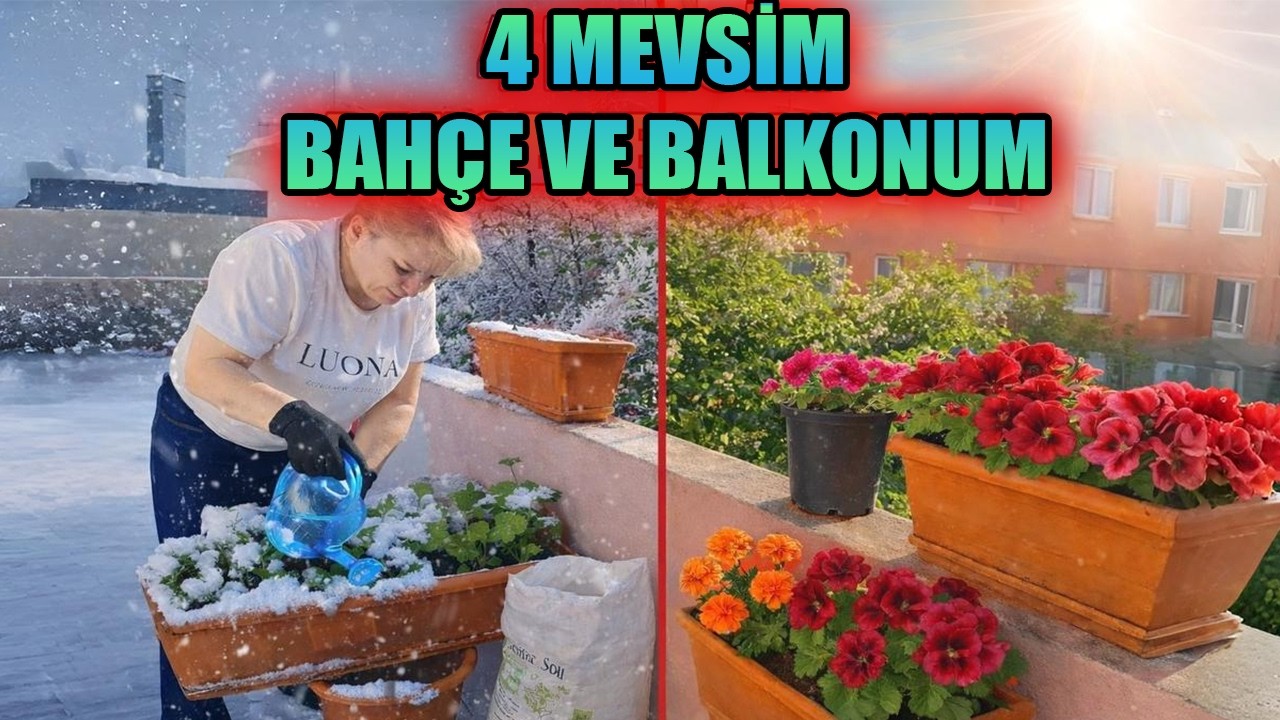 4 MEVSİM BOYU BAHÇE VE BALKON ÇİÇEKLERİM!! - (ÇİÇEKLERİMİN VE BİTKİLERİMİN DEĞİŞİMİ)