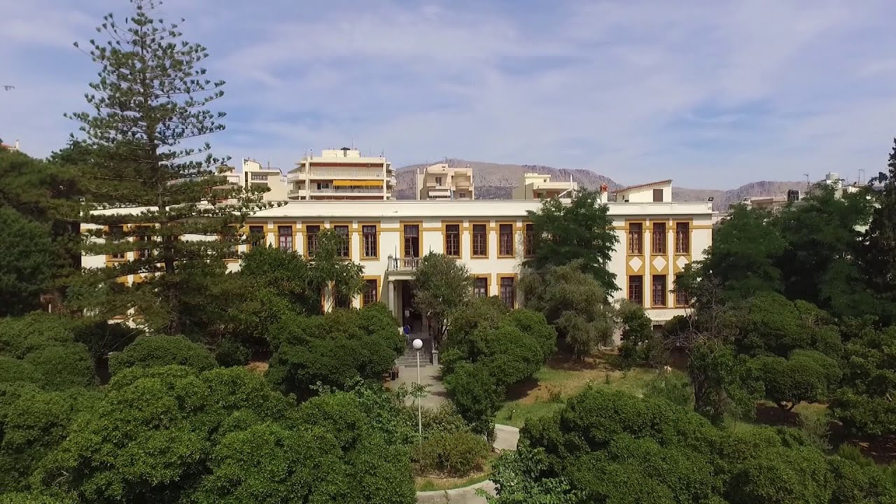 Τμήμα Ναυτιλίας και Επιχειρηματικών Υπηρεσιών (ΤΝΕΥ)