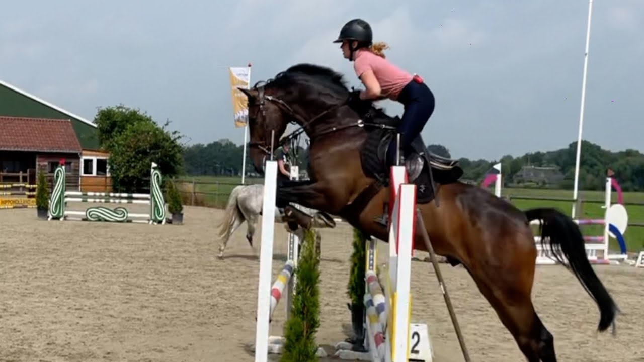 Laatste JSP les en met Ivy op concours | Paardrijden met Plezier