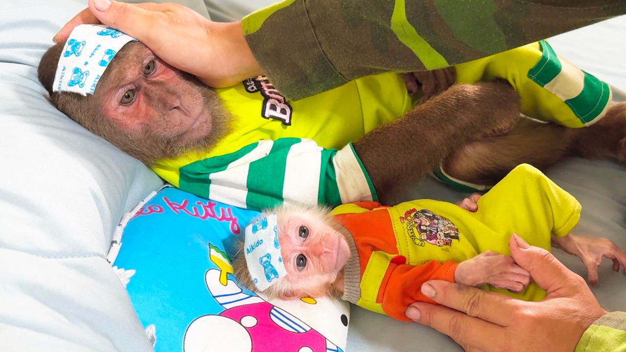 Adorably Sweet! CUTIS and Buem Fake Being Sick to Keep Mom Home