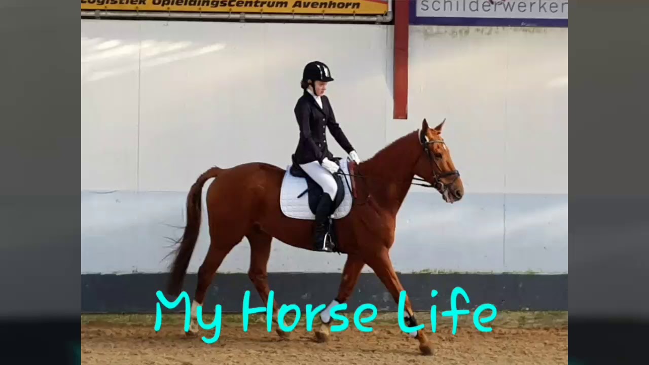 Even een mededeling😂❤ || My Horse Life