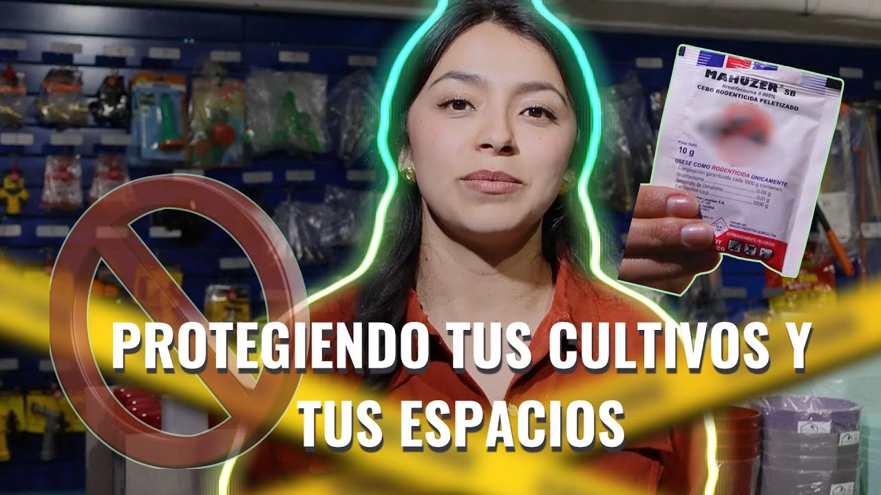 &iquest;UNA PLAGA QUE NO SE DEBE ERRADICAR?😳🚫