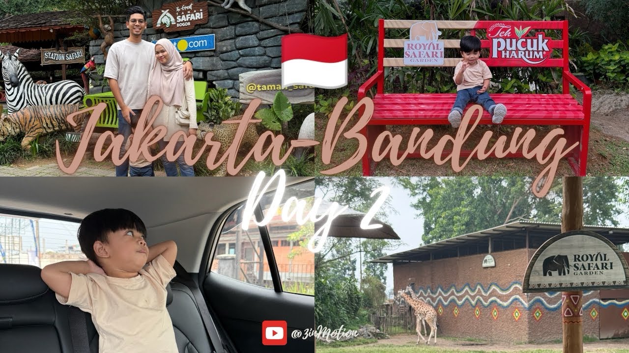 VLOG | Ronda Taman Safari Indonesia & Dine w Giraffe 🦒 | Day 2: JKT-BDG TRIP w our 2 years old son |